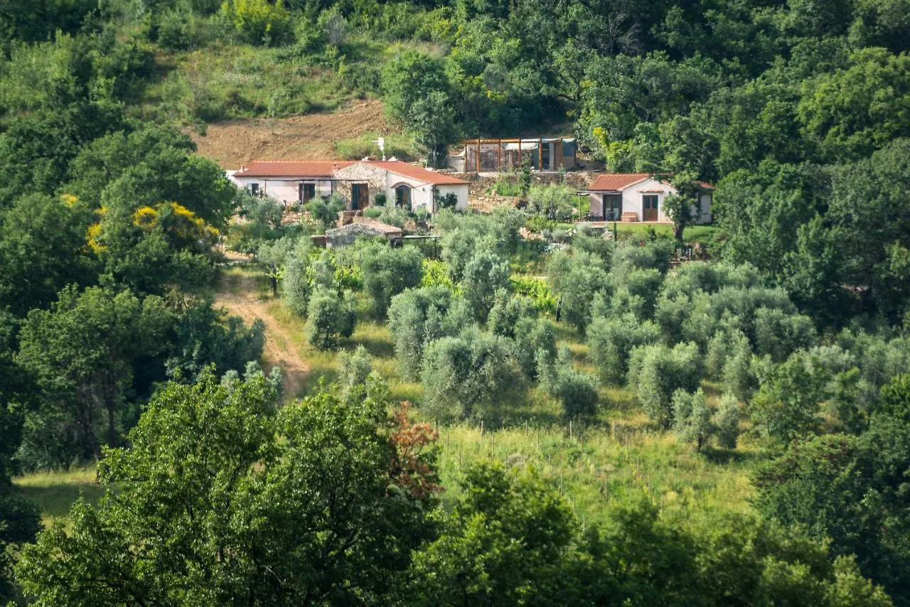 Apartment Agriturismo Fontenuova Saturnia Italy