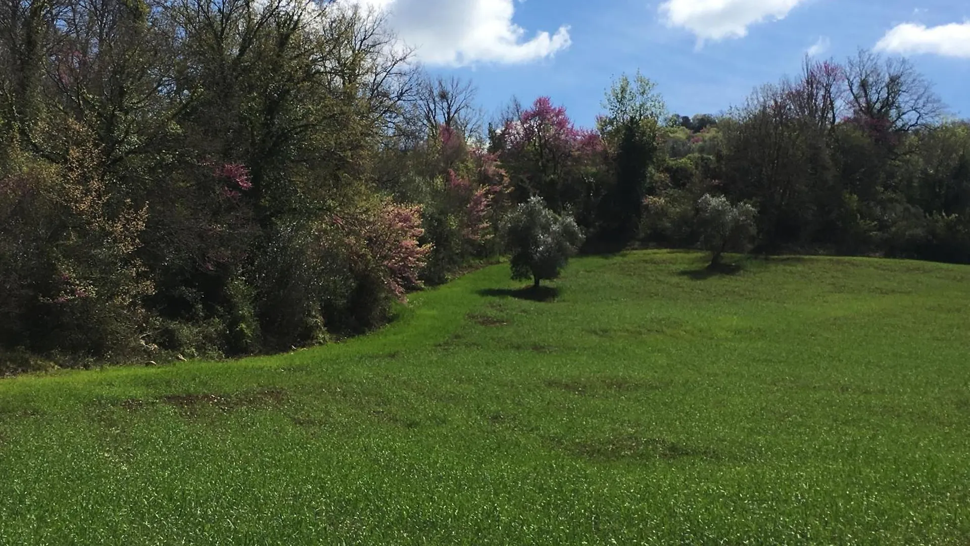 Appartamento Agriturismo Fontenuova Saturnia
